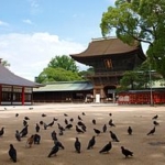 Thumbnail of post image 178