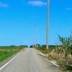 Thumbnail of post image 056