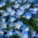 Thumbnail of post image 093